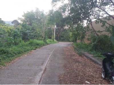 Lot For Sale Greenwoods Subdivision