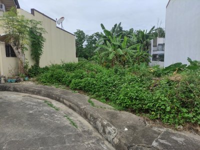 Titled Lot for sale Metropolis Phase 1 
